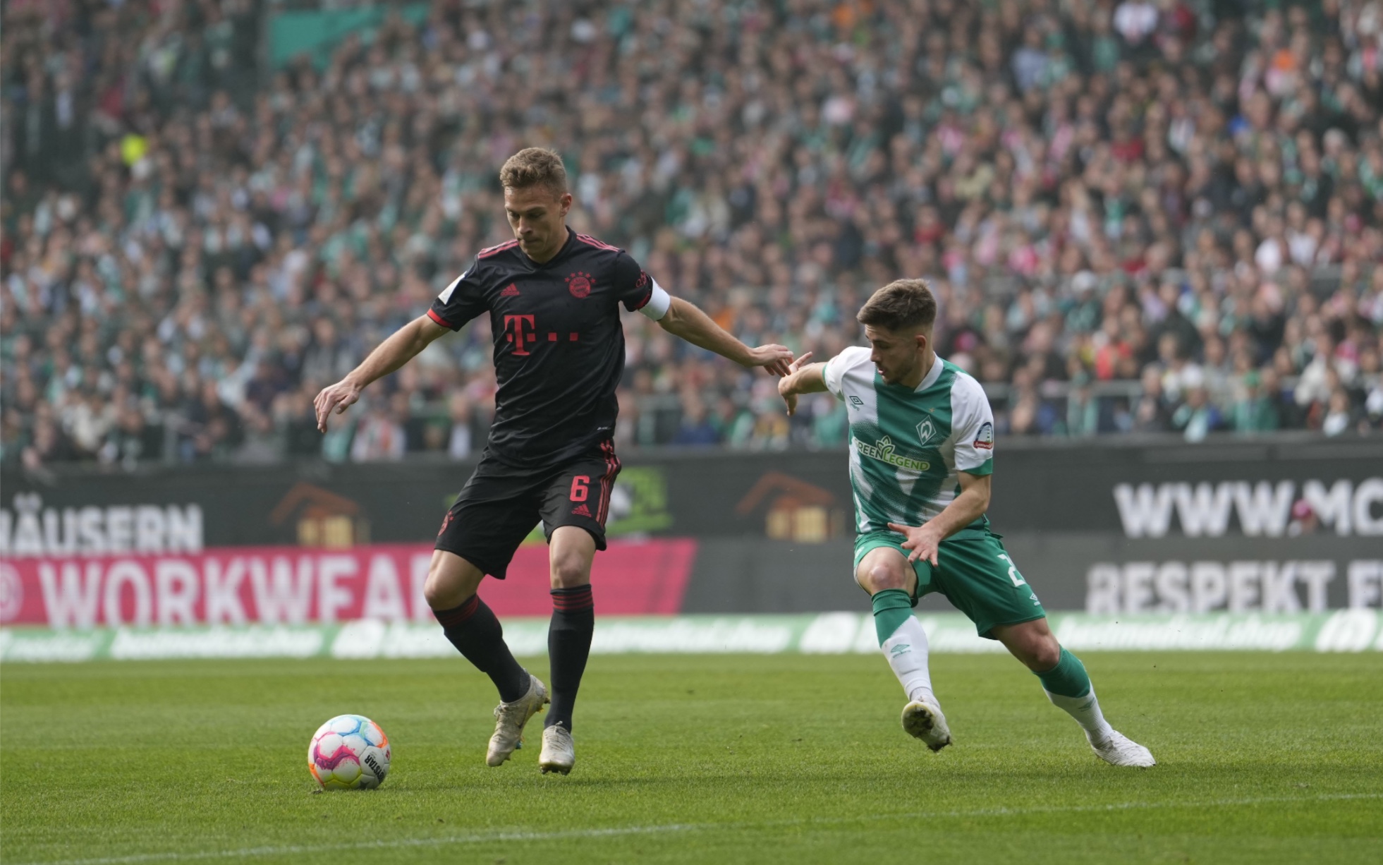 美食节今日开启！！！